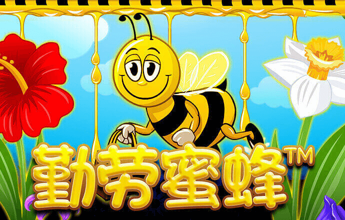悟空体育官网入口